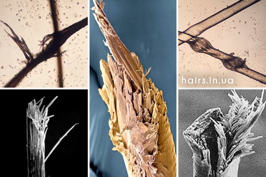 Фото расщеплённых кончиков волос под микроскопом